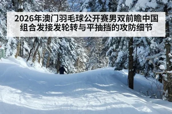 2026年澳门羽毛球公开赛男双前瞻中国组合发接发轮转与平抽挡的攻防细节（jiuyou game）